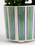 Marks & Spencer "Artificial Boxwood Plant in Ceramic Pot"